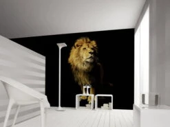 Papier Peint 'Lion' 400x270cm 5 Papier Peint 'Lion' 400x270cm -Magasin De Rénovation Domiciliaire 471037 tier tapeten orange schwarz tapete wandtapete designtapete 3d tapete fototapete 02