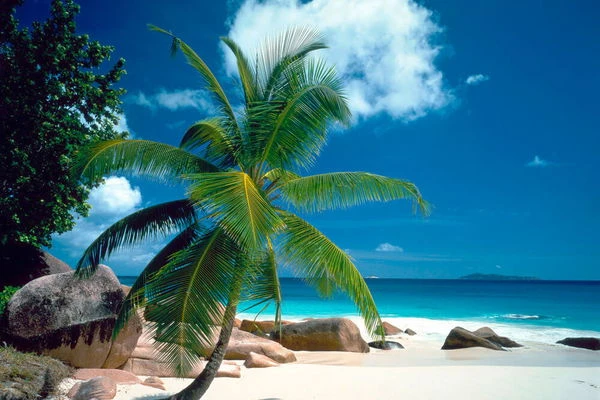 Papier Peint 'Beach' 400x267cm 3 Papier Peint 'Beach' 400x267cm