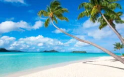 Papier Peint 'Beach 2' 400x267cm