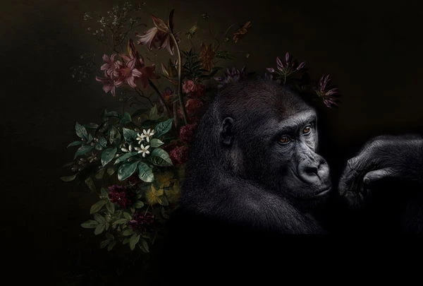 Papier Peint 'Wildlife 3' 400x270cm 3 Papier Peint 'Wildlife 3' 400x270cm