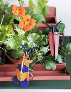 Objet Mural En Carton ' Longhorn Beetle' -Magasin De Rénovation Domiciliaire ima49 tierskulpturen schwarz rosa wanddeko papier wandskulptur karton 3d wandobjekt aus karton wandskulptur papier 3d objekt zum zusammenstecken studio roof 03