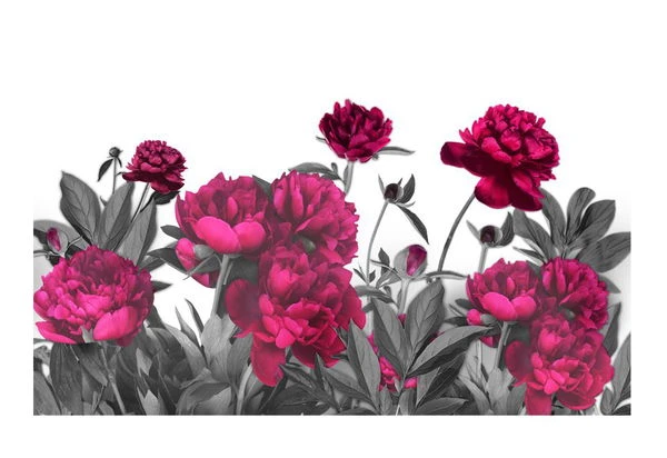 Papier Peint Autocollant 'Lush Meadow' 4 Papier Peint Autocollant 'Lush Meadow' – Image 2